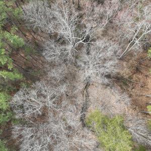 Photo #17 of Off Virginia Mill Rd, Arvonia, VA 58.8 acres