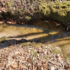 Photo #18 of Off Virginia Mill Rd, Arvonia, VA 58.8 acres