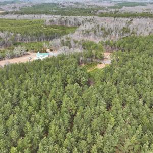 Photo #19 of Off Virginia Mill Rd, Arvonia, VA 58.8 acres