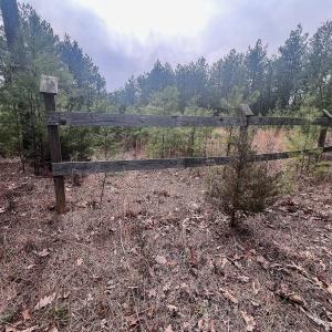 Photo #20 of Off Virginia Mill Rd, Arvonia, VA 58.8 acres