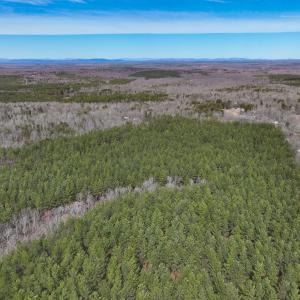 Photo #22 of Off Virginia Mill Rd, Arvonia, VA 58.8 acres