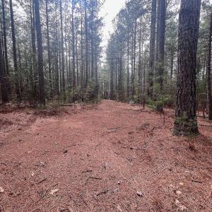 Photo #23 of Off Virginia Mill Rd, Arvonia, VA 58.8 acres