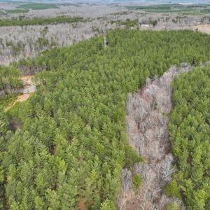 Photo #24 of Off Virginia Mill Rd, Arvonia, VA 58.8 acres