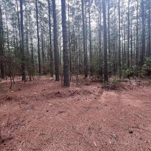 Photo #25 of Off Virginia Mill Rd, Arvonia, VA 58.8 acres