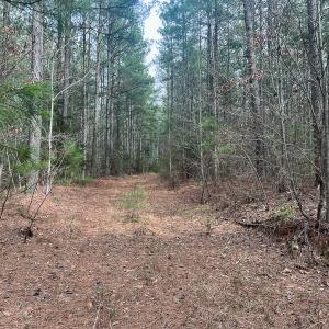 Photo #28 of Off Virginia Mill Rd, Arvonia, VA 58.8 acres