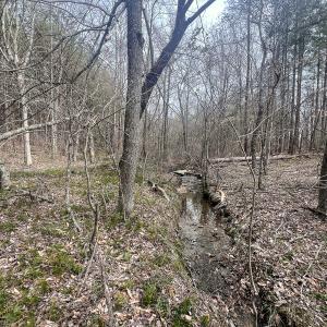 Photo #29 of Off Virginia Mill Rd, Arvonia, VA 58.8 acres