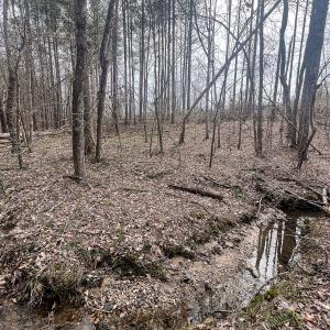 Photo #30 of Off Virginia Mill Rd, Arvonia, VA 58.8 acres