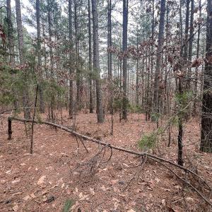 Photo #33 of Off Virginia Mill Rd, Arvonia, VA 58.8 acres