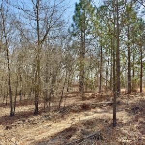 Photo #10 of Off Peachtree  Drive, Hamlet, NC 3.4 acres