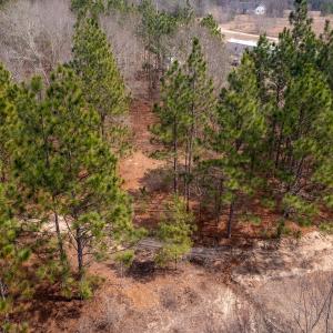 Photo #11 of Off Peachtree  Drive, Hamlet, NC 3.4 acres