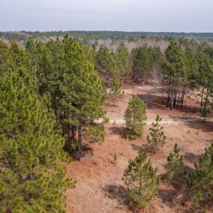 Photo #12 of Off Peachtree  Drive, Hamlet, NC 3.4 acres