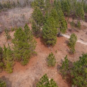 Photo #13 of Off Peachtree  Drive, Hamlet, NC 3.4 acres