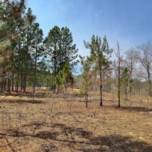 Photo #14 of Off Peachtree  Drive, Hamlet, NC 3.4 acres