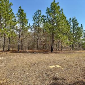 Photo #15 of Off Peachtree  Drive, Hamlet, NC 3.4 acres