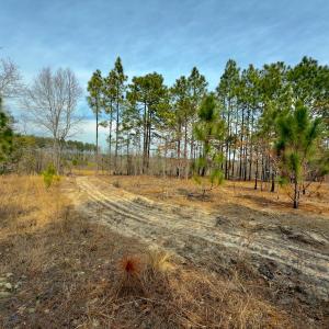 Photo #16 of Off Peachtree  Drive, Hamlet, NC 3.4 acres