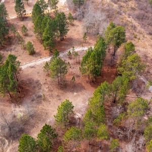 Photo #17 of Off Peachtree  Drive, Hamlet, NC 3.4 acres