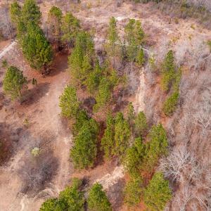 Photo #18 of Off Peachtree  Drive, Hamlet, NC 3.4 acres