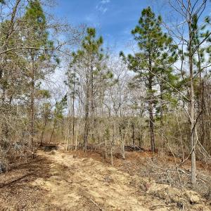 Photo #19 of Off Peachtree  Drive, Hamlet, NC 3.4 acres