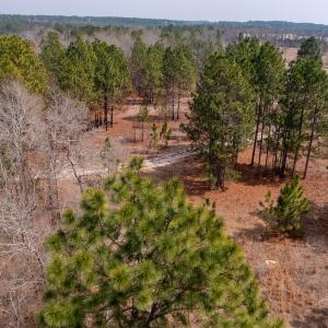 Photo #1 of Off Peachtree  Drive, Hamlet, NC 3.4 acres