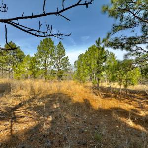 Photo #3 of Off Peachtree  Drive, Hamlet, NC 3.4 acres