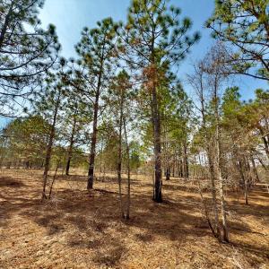 Photo #4 of Off Peachtree  Drive, Hamlet, NC 3.4 acres