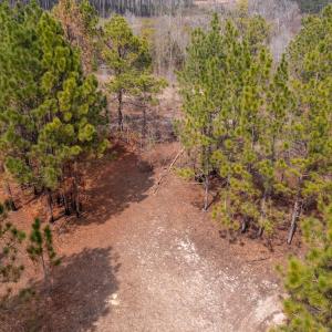 Photo #5 of Off Peachtree  Drive, Hamlet, NC 3.4 acres