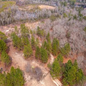 Photo #7 of Off Peachtree  Drive, Hamlet, NC 3.4 acres