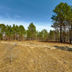 Photo #9 of Off Peachtree  Drive, Hamlet, NC 3.4 acres