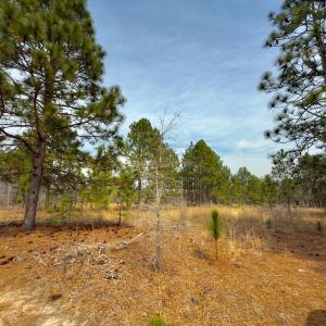 Photo #21 of Off Peachtree  Drive, Hamlet, NC 3.4 acres