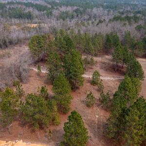 Photo #22 of Off Peachtree  Drive, Hamlet, NC 3.4 acres