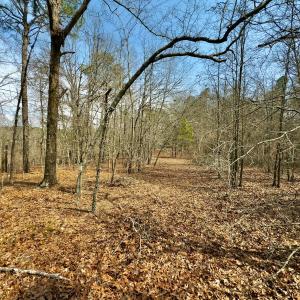 Photo #25 of Off Peachtree  Drive, Hamlet, NC 3.4 acres
