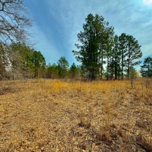 Photo #26 of Off Peachtree  Drive, Hamlet, NC 3.4 acres