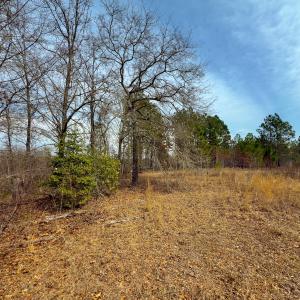 Photo #32 of Off Peachtree  Drive, Hamlet, NC 3.4 acres
