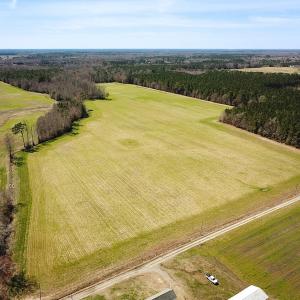 Photo #1 of Off Freeman Mill Rd, Whaleyville, VA 59.0 acres