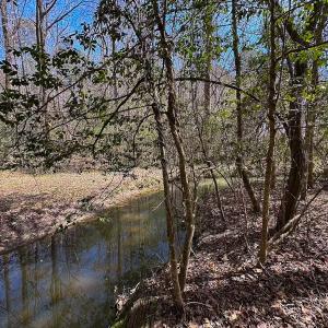 Photo #3 of Off Freeman Mill Rd, Whaleyville, VA 59.0 acres