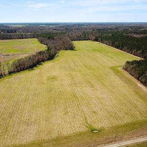 Photo #5 of Off Freeman Mill Rd, Whaleyville, VA 59.0 acres