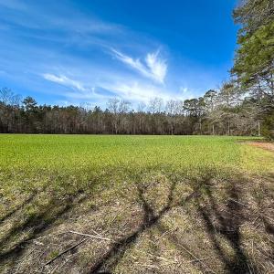 Photo #6 of Off Freeman Mill Rd, Whaleyville, VA 59.0 acres