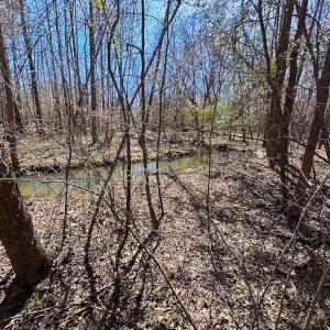 Photo #7 of Off Freeman Mill Rd, Whaleyville, VA 59.0 acres