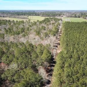 Photo #8 of Off Freeman Mill Rd, Whaleyville, VA 59.0 acres
