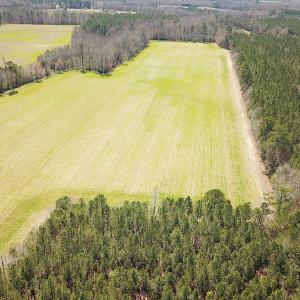 Photo #10 of Off Freeman Mill Rd, Whaleyville, VA 59.0 acres