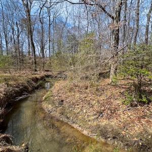 Photo #12 of Off Freeman Mill Rd, Whaleyville, VA 59.0 acres