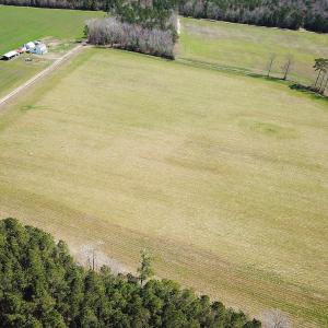 Photo #14 of Off Freeman Mill Rd, Whaleyville, VA 59.0 acres