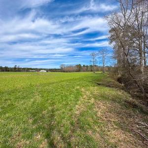 Photo #15 of Off Freeman Mill Rd, Whaleyville, VA 59.0 acres