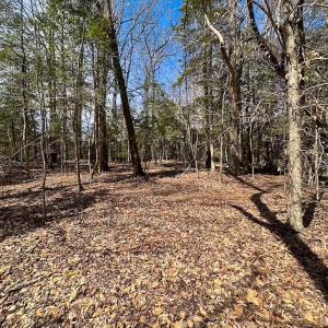 Photo #16 of Off Freeman Mill Rd, Whaleyville, VA 59.0 acres