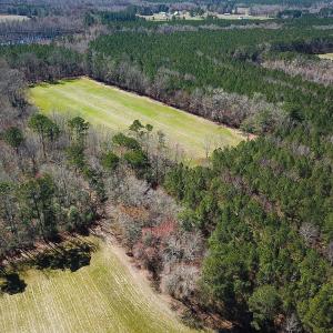 Photo #18 of Off Freeman Mill Rd, Whaleyville, VA 59.0 acres