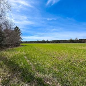 Photo #19 of Off Freeman Mill Rd, Whaleyville, VA 59.0 acres