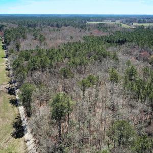 Photo #20 of Off Freeman Mill Rd, Whaleyville, VA 59.0 acres