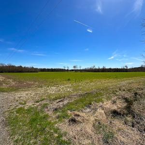 Photo #21 of Off Freeman Mill Rd, Whaleyville, VA 59.0 acres