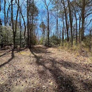 Photo #22 of Off Freeman Mill Rd, Whaleyville, VA 59.0 acres