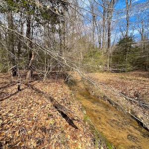 Photo #23 of Off Freeman Mill Rd, Whaleyville, VA 59.0 acres